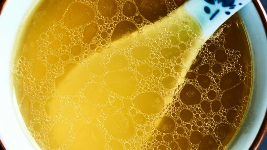 Bone Broth Benefits