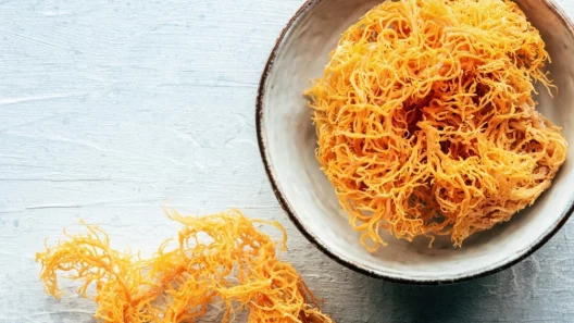 Sea Moss Benefits