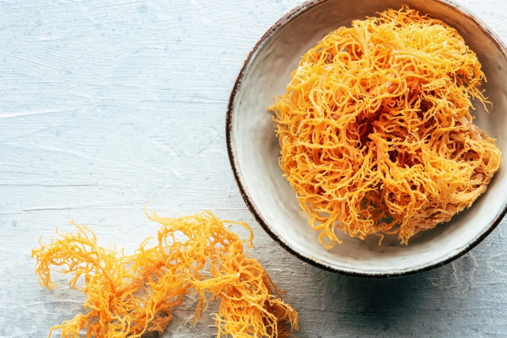 Sea Moss Benefits